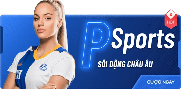soilac bóng rổ
