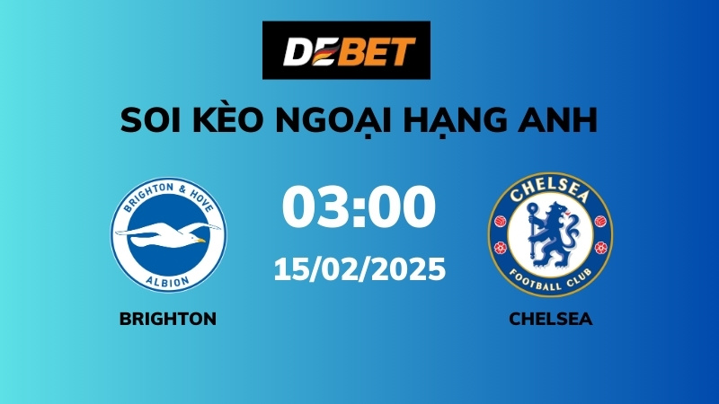 Thực trạng của Brighton & Hove Albion